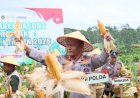 Kapolda Sumbar Bersama Forkopimda Gelar Panen Raya Jagung Serentak Kuartal I Tahun 2026 di Kota Solok